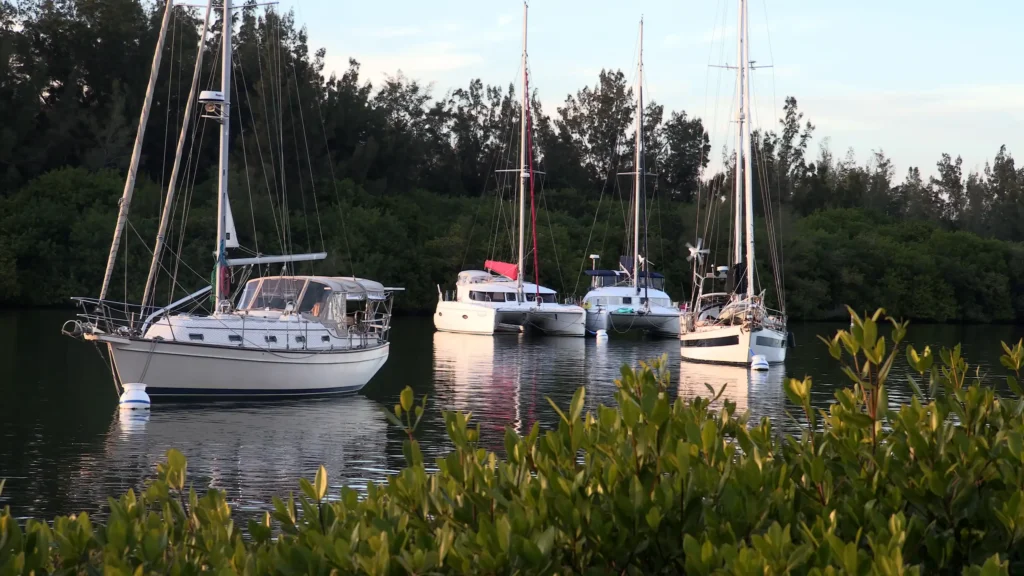 The Indian River Lagoon