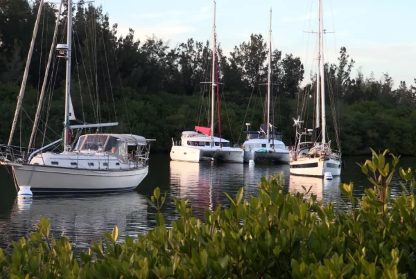 The Indian River Lagoon