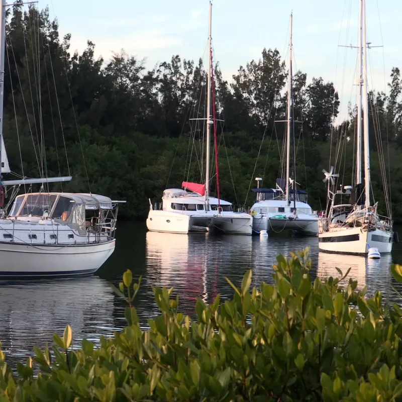 The Indian River Lagoon