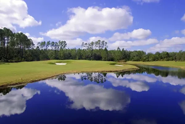 Hole #11 at Amelia National Golf Course