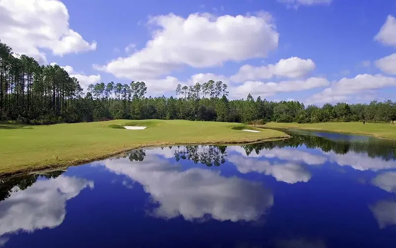 Hole #11 at Amelia National Golf Course