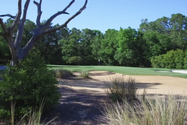 Bent Pine Golf Club