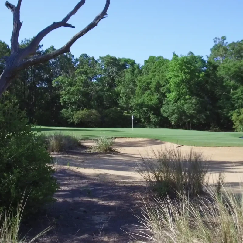 Bent Pine Golf Club